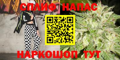 винт Ставрополь